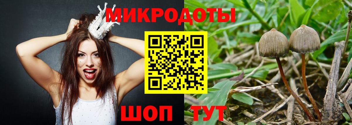Псилоцибиновые грибы Magic Shrooms  Галлюциногенные грибы Psilocybe  Вход с VPN  Назрань 