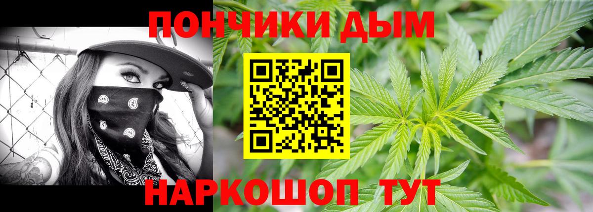Бошки марихуана сатива  Канабис конопля  Назрань  Вход с VPN 
